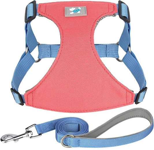 Beirui Small Dog Harness and Leash Set, No Pull Step-in Harness for Puppy, Lightweight Air Mesh Pet Harness for Small Dogs (Rose, S)