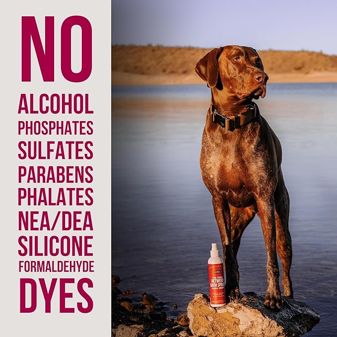 Natural Rapport Dog Cologne Spray Cranberry & Vanilla Scent - The Only Between Bath Spray Dogs Need - Convenient, Dog Deodorant Spray and Pet Urine Odor Eliminator Perfume (8 fl oz.)
