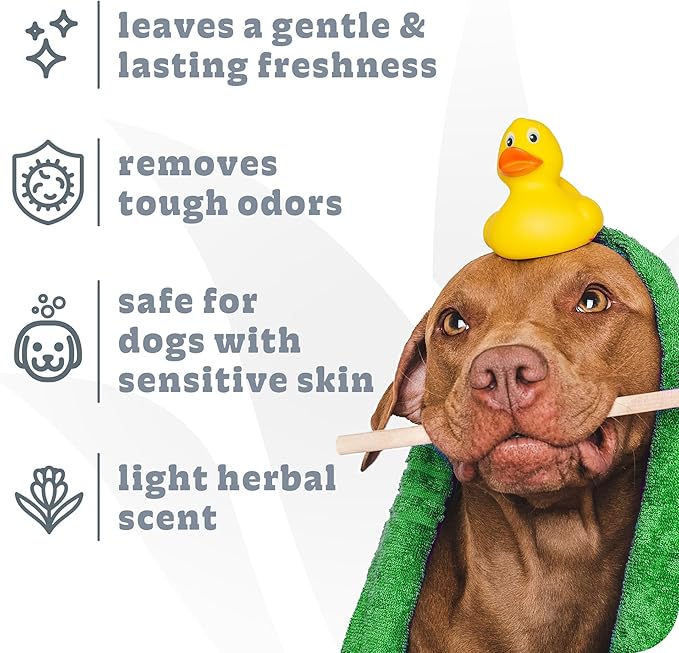 Espree Intense Charcoal Odor Neutralizer Dog Shampoo & Conditioner, Eliminates Stubborn Dog Odors, Plant Based Ingredients, 2 in 1, Charcoal-Infused Odor Neutralizer for Dogs, Cruelty-Free, 20oz