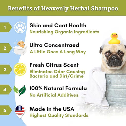 Wholistic Pet Organics Heavenly Herbal Pet Shampoo, 16 fl oz