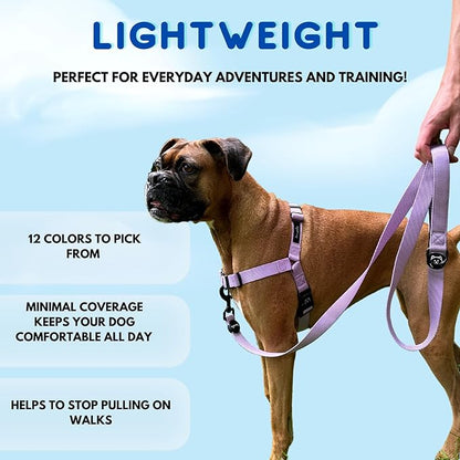 ShawnCo Dream Walk No-Pull Dog Harness- Adjustable, Comfortable, Easy to Use Pet Halter to Help Stop Pulling for Small, Medium and Large Dogs (Sunset Orange, L)
