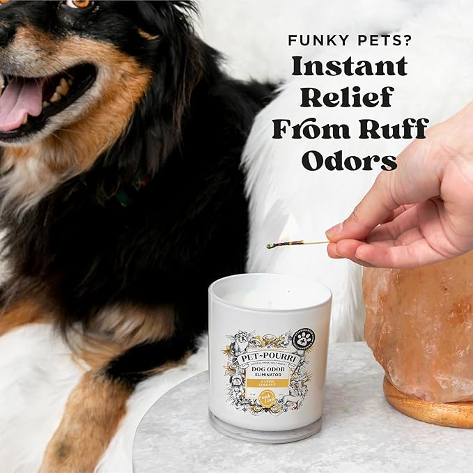 Pet-Pourri Canine Coconut Dog Deodorizer Candle – Puppy & Dog Safe – Plant Based Ingredients & Wax – Vet Approved – Aromatherapy & Air Freshener for Pet Odor – Scented with Coconut, Jasmine & Pear