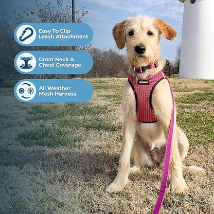 Voyager Step-in Air Dog Harness - All Weather Mesh, Reflective, No Pull Harness for Small, Medium Dogs, Cats - Secure with Hook & Loop Fastener, Buckle, Double D-Rings - Fuchsia 2-Tone, XL