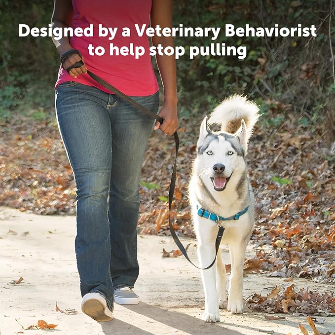 PetSafe® Deluxe Easy Walk® Dog Harness, No Pull Harness, Stop Pulling, Great for Walking and Training, Comfortable Padding, for Small Dogs- Steel/Black, Small