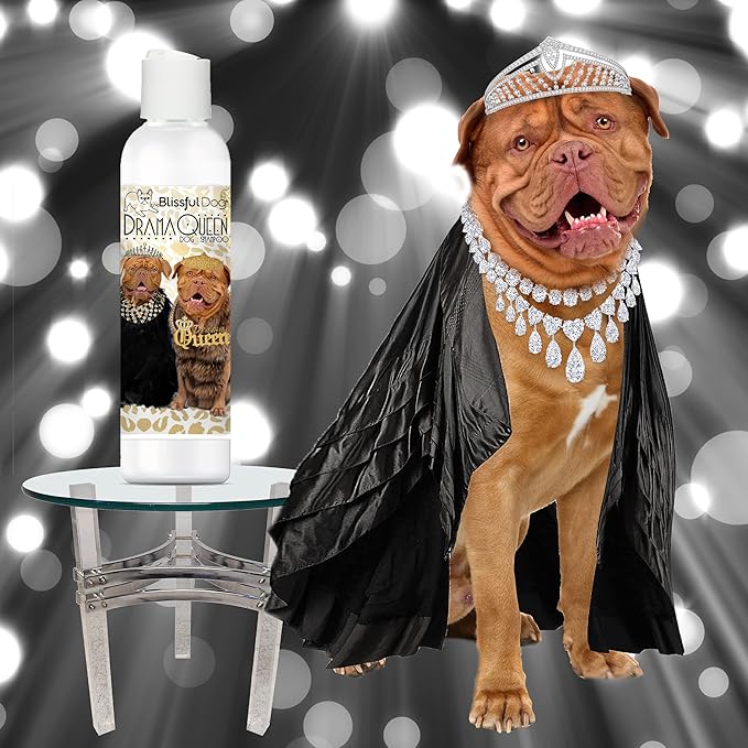 The Blissful Dog Dogue De Bordeaux Drama Queen Shampoo, 8 Oz