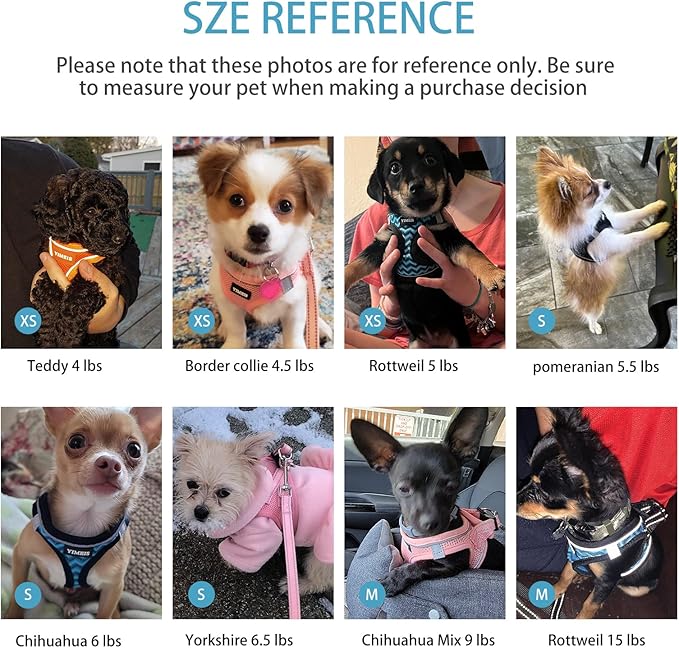 Dog Harness (XS, Blue) for Small Dogs, Lightweight Harness & Leash Set, Adjustable, Reflective, Breathable, 360°Visibility, Playful Style