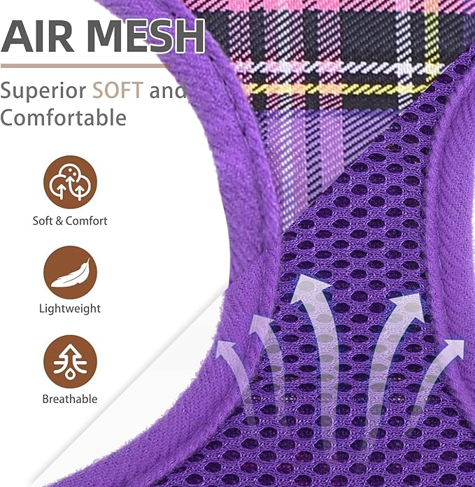 PUPTECK Soft Mesh Dog Harness and Leash Set Pet Puppy Cat Comfort Padded Vest No Pull Harnesses, Purple, L