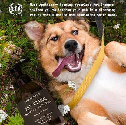 Muse Apothecary Pet Ritual Foaming Waterless Shampoo for Dogs, Waterless Dog Shampoo Foam, No Rinse Dog Shampoo, Waterless Dog Shampoo for Large Dogs - Essential Oils Infused, 11.5oz Fresh Bouquet