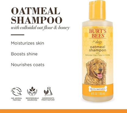 Burt's Bees for Pets Naturally Derived Oatmeal Shampoo with Colloidal Oat Flour and Honey - Oatmeal Dog Shampoo to Soothe and Cleanse Dogs Skin and Coats, 4 Fl Oz