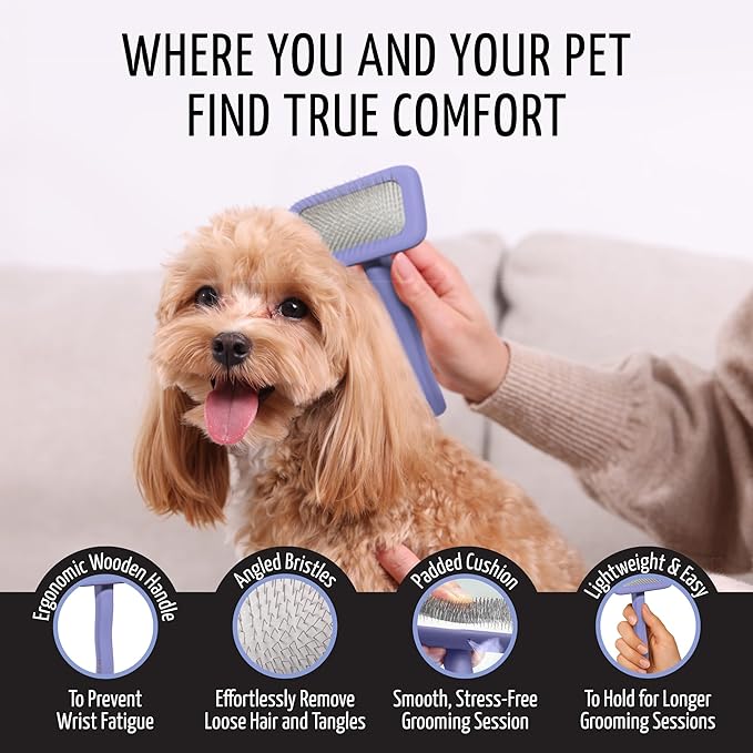 Tauro Pro Line Wooden Deshedding Dog Brush for Long Goldendoodle, Labradoodle & Poodle Hair - Purple Slicker Brush for Dog & Cat Grooming - Rectangular Flexible Cushion & Non-Slip Grip, M