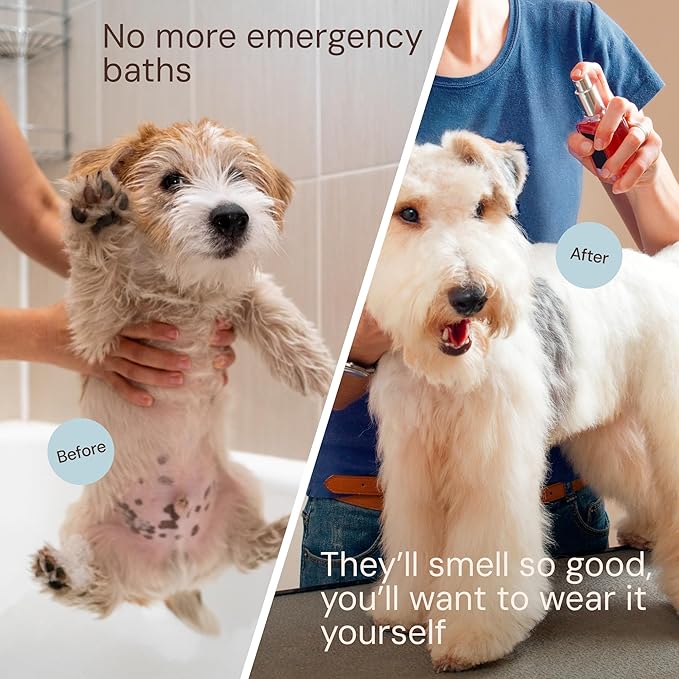 Sunny & Honey 4oz Dog Perfume Spray Long Lasting - Deodorizing, Detangling & Hydrating - Dog Cologne - pH Balanced - Spray Deodorizer Perfume (Fresh Breeze Scent, 2 pack)
