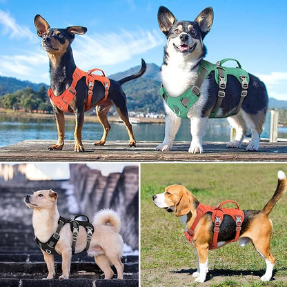 Beirui Escape Proof Dog Harness,Soft Padded Dog Vest No Pull with Lift Handle,Durable Reflective Waterproof Full Body Pet Harness for Small Medium Dogs Walking Training(Orange,Chest 18-32")