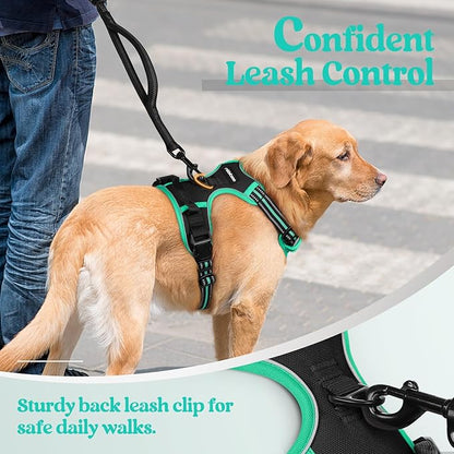 rabbitgoo Dog Harness, No-Pull Pet Harness with 2 Leash Clips, Adjustable Soft Padded Dog Vest, Reflective No-Choke Pet Oxford Vest with Easy Control Handle for Large Dogs, Black & Turquoise, L