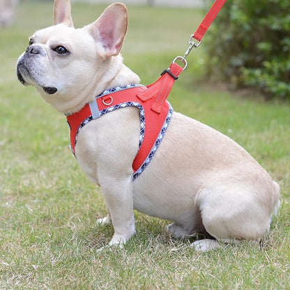 Mercano Soft Mesh Dog Harness and Leash Set, No-Chock Step-in Reflective Breathable Lightweight Easy Walk Escape Proof Vest Harnesses with Safety Buckle for Small Medium Dogs, Cats (Red, XS)