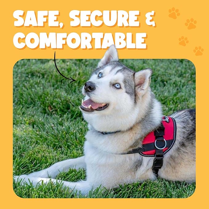 Bark Appeal Red No-Pull Dog Harness for Extra Large Sized Pets – Adjustable, Reflective Vest with 3 Leash Clips for Added Control, Easy Walks & Training – XXL