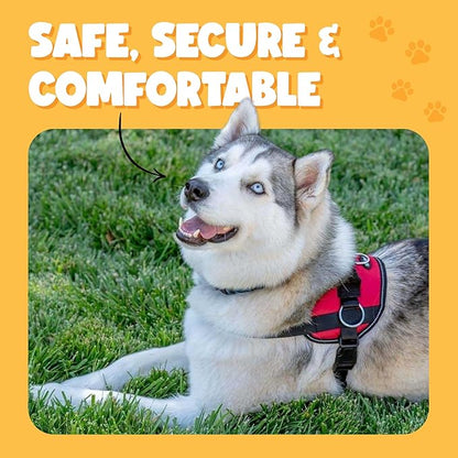 Bark Appeal Red No-Pull Dog Harness for Extra Large Sized Pets – Adjustable, Reflective Vest with 3 Leash Clips for Added Control, Easy Walks & Training – XXL