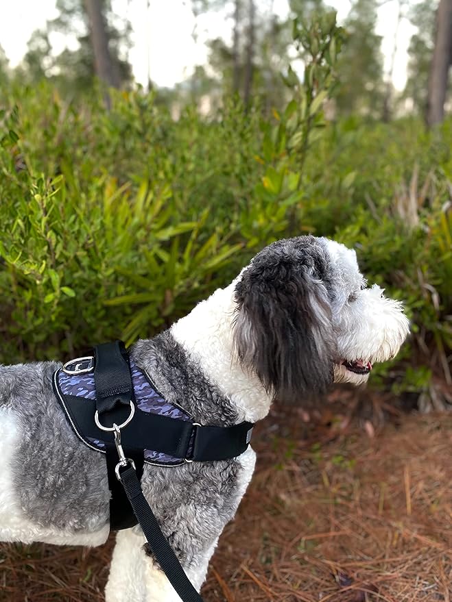 ShawnCo Essential Dog Harness, No-Pull Pet Vest with 3 Leash Clips, No Choke, Reflective, Adjustable and Padded, for Easy Walking and Training for Small, Medium and Large Dogs (Black Camo, S)