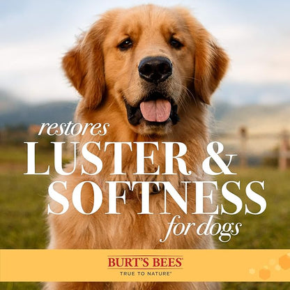 BURT'S BEES FOR PETS Brown Oblong Double Sided Dog Brush - All Hair Types, Unisex, 0.2 lbs, Hemp Bristle for Detangling, Shedding Rake for Mats Removal