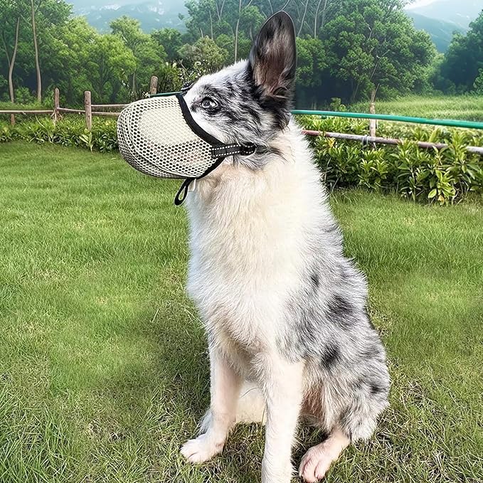 Large Dog Muzzle, Muzzle for Large Dogs to Prevent Eating/Chewing/Biting, Breathable Reflective Adjustable Medium Dog Accessories Dog Muzzle (Beige, M)