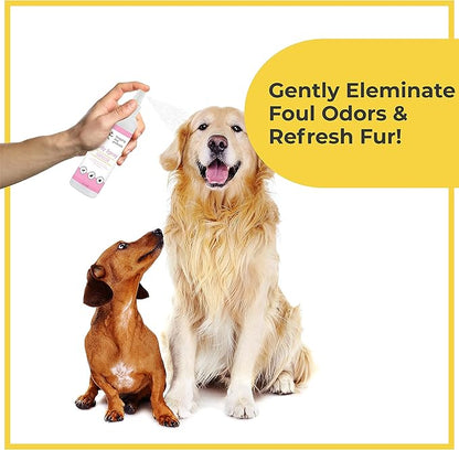 Premium Dog Deodorant Spray - Long Lasting Pet Odor Eliminator - Refreshing Dog Deodorizer Spray for Grooming - Pina Colada