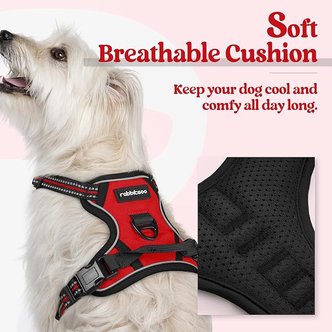 rabbitgoo Dog Harness, No-Pull Pet Harness with 2 Leash Clips, Adjustable Soft Padded Dog Vest, Reflective No-Choke Pet Oxford Vest with Easy Control Handle for Small Dogs, Red,XS
