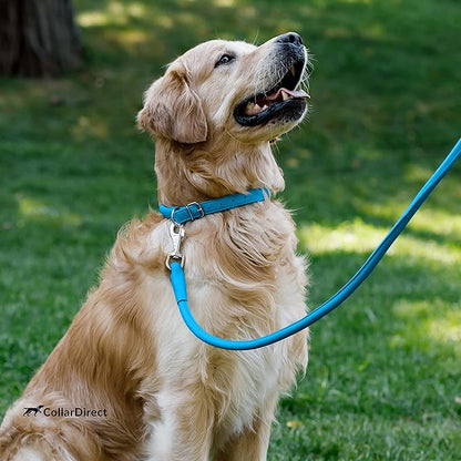CollarDirect Rolled Leather Dog Collar, Soft Padded Round Puppy Collar, Handmade Genuine Leather Collar Dog Small Large Cat Collars 13 Colors (6-7 Inch, Light Blue Textured)