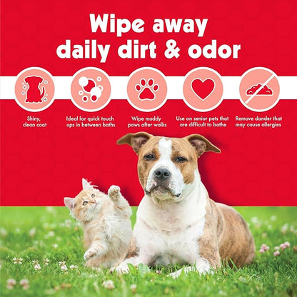 Petkin Pet Wipes for Dogs and Cats, 200 Large Wipes - Removes Dirt & Odor Like Washing Hands - Cleans Ears, Face, Butt, Eye Area - Convenient, Ideal for Home or Travel - 2 Packs of 100 Wipes
