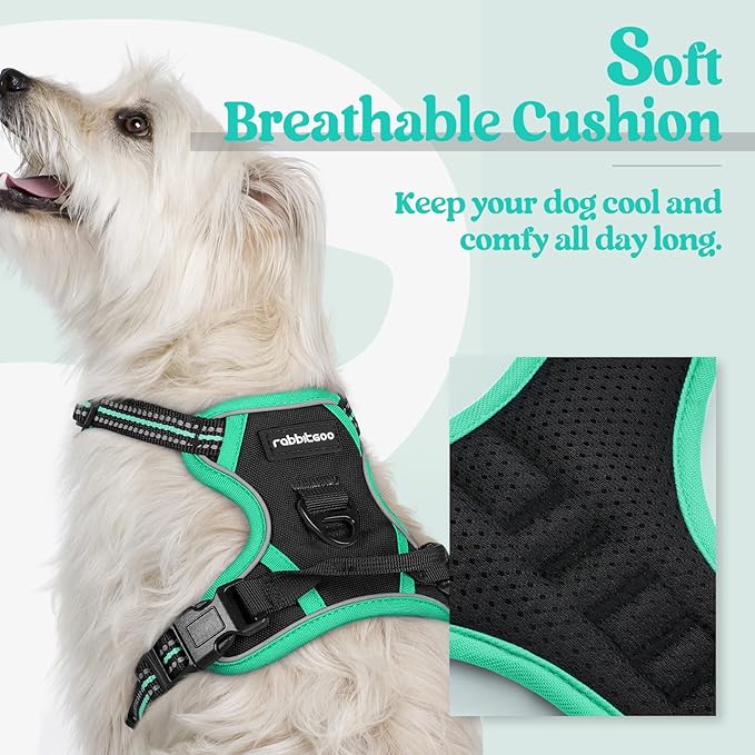 rabbitgoo Dog Harness, No-Pull Pet Harness with 2 Leash Clips, Adjustable Soft Padded Dog Vest, Reflective No-Choke Pet Oxford Vest with Easy Control Handle for Large Dogs, Black & Turquoise, X-Small