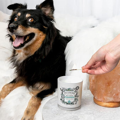 Pet-Pourri Pawsitively Fresh Pet Odor Bundle - 16 Fl Oz Air and Fabric Freshener Spray and 7.5 Oz Candle – Jasmine, Fresh Air and Pear