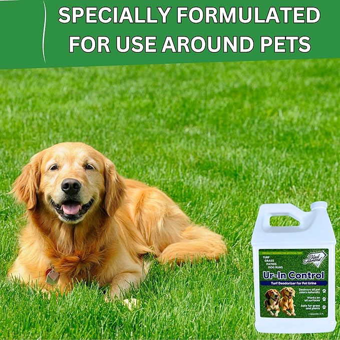Urine Control Turf Deodorizer for Pet Urine - Bio-Enzymatic Odor Neutralizer for Artificial Grass, Turf, and Outdoor Surfaces - Eco-Friendly, Pet-Safe, Long-Lasting Scent (128oz Gallon)