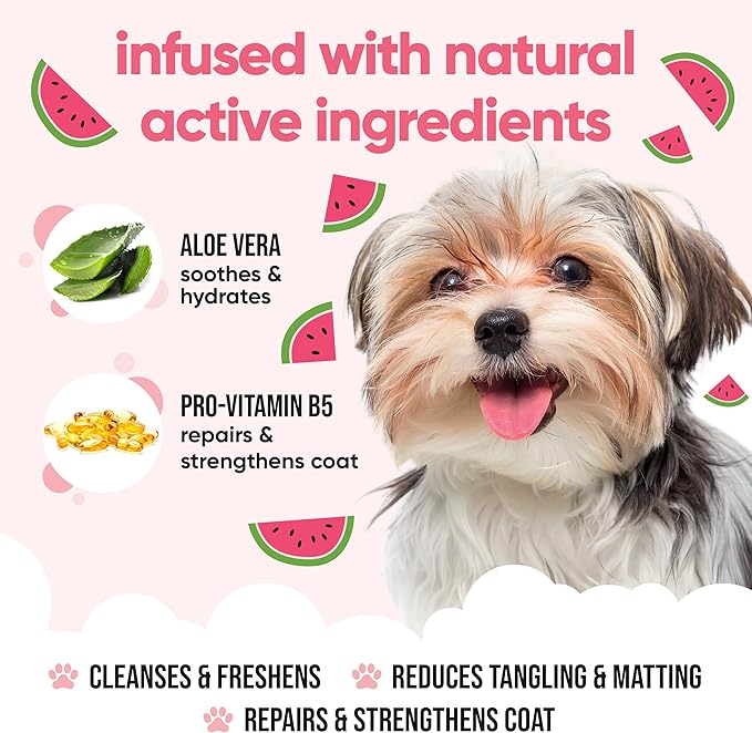 Watermelon Dog Shampoo | For Smelly Dogs From 8 Weeks | Henry's House Scented Puppy With Aloe Vera & Pro Vitamin B5 (50.72oz)