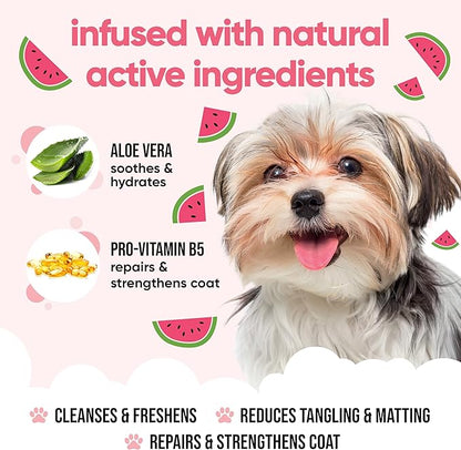 Watermelon Dog Shampoo | For Smelly Dogs From 8 Weeks | Henry's House Scented Puppy With Aloe Vera & Pro Vitamin B5 (50.72oz)
