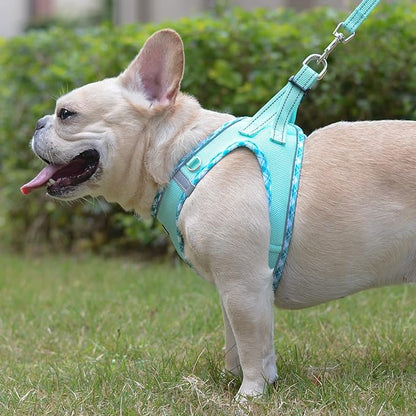 Mercano Soft Mesh Dog Harness and Leash Set, No-Chock Step-in Reflective Breathable Lightweight Easy Walk Escape Proof Vest Harnesses with Safety Buckle for Small Medium Dogs, Cats (Light Green, S)