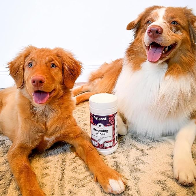 Petpost | Grooming Wipes for Dogs - Large, Deodorizing Wipes with Cherry Blossom Scent - 70 Ultra Soft Cotton Pads in Cleansing Solution - Cherry Blossom Scent 70 ct.