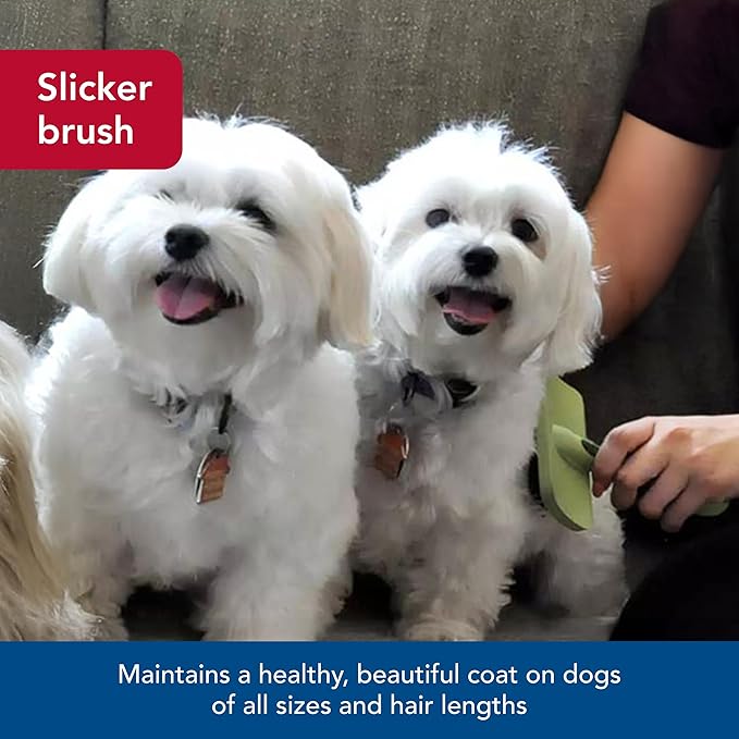 Coastal Pet Safari Curved Firm Slicker Brush - For Dog Grooming and Detangling All Hair Types - 6.5" x 3.06"