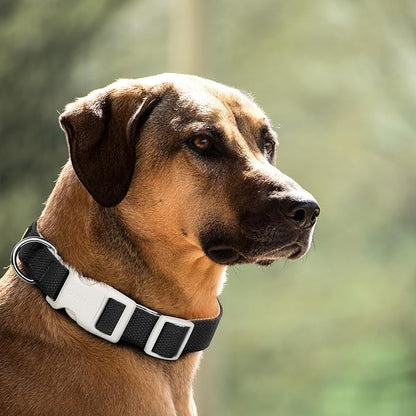 Plutus Pet Cotton Dog Collar, Heavy Duty Collar with Soft Padding, Adjustable and Comfortable for Small Medium and Large Dogs, Black, L