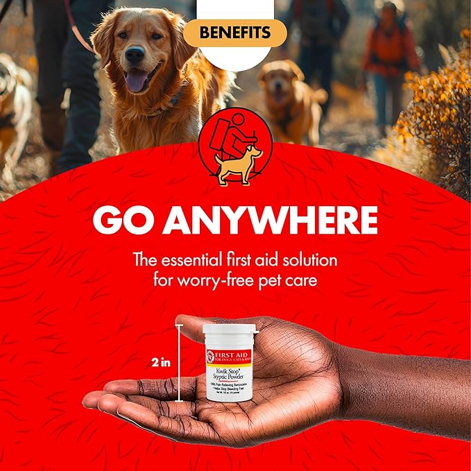 Miracle Care Kwik Stop Styptic Gel Swabs For Dogs, Cats, and Birds, Fast-Acting Blood Stop Swabs For Pets, Quick Stop Bleeding Swabs For Dog Nail Clipping, Minor Cuts, Grooming, 3 count