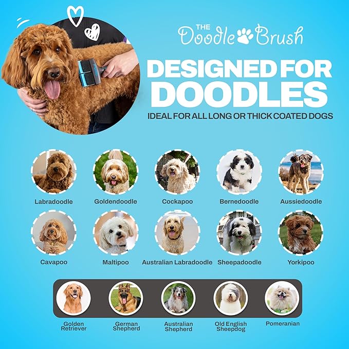 Slicker and Detangling Dog Brush for Cockapoo, Goldendoodle, Poodle, Long Haired Dogs (Double Head)