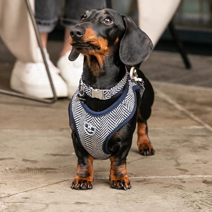 HUGO & HUDSON Dog Harness, No-Pull Anti Choke Tweed Harness Vest, Navy Herringbone, XS