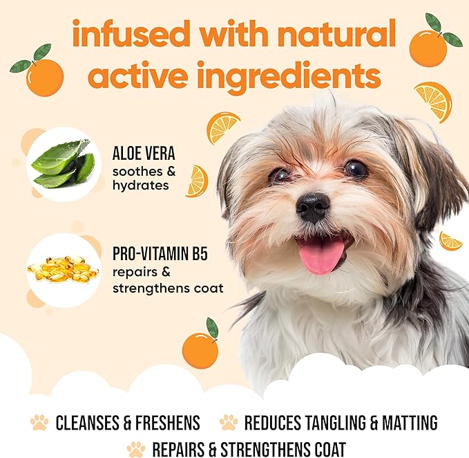 Orange Dog Shampoo by Buddycare | Deep Cleansing Shampoo for Dogs | Orange Scented | with Aloe Vera and Pro Vitamin B5 (16.9oz)