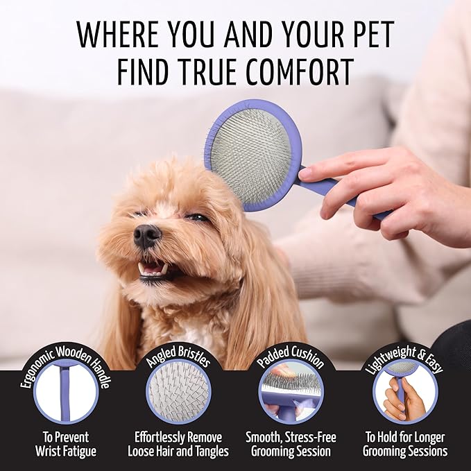 Tauro Pro Line Wooden Deshedding Dog Brush for Long Goldendoodle, Labradoodle & Poodle Hair - Purple Slicker Brush for Dog & Cat Grooming - Oval Flexible Cushion & Non-Slip Grip, M