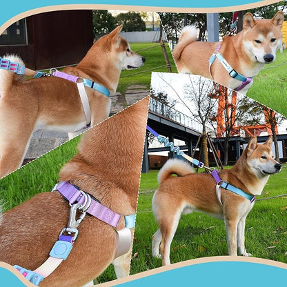 Tri-Color Dog Harness and Purple Pink Gradient Shock Absorbing Dog Leash Set,Step-in Freedom Dog Vest Harness,Strong Padded Handle to Help Stop Pulling for Large Dog Walking and Traning