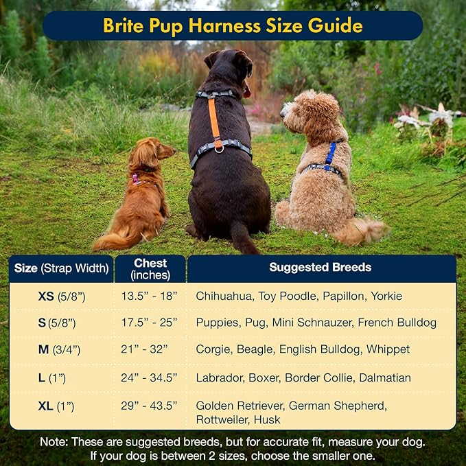 No Pull Harness with Fully Customizable Fitment for Large Dogs - 3M Reflective Heavy Duty Harness for Walking & Training - No Choke Comfortable Collar Design, Made in USA L-Sky Blue