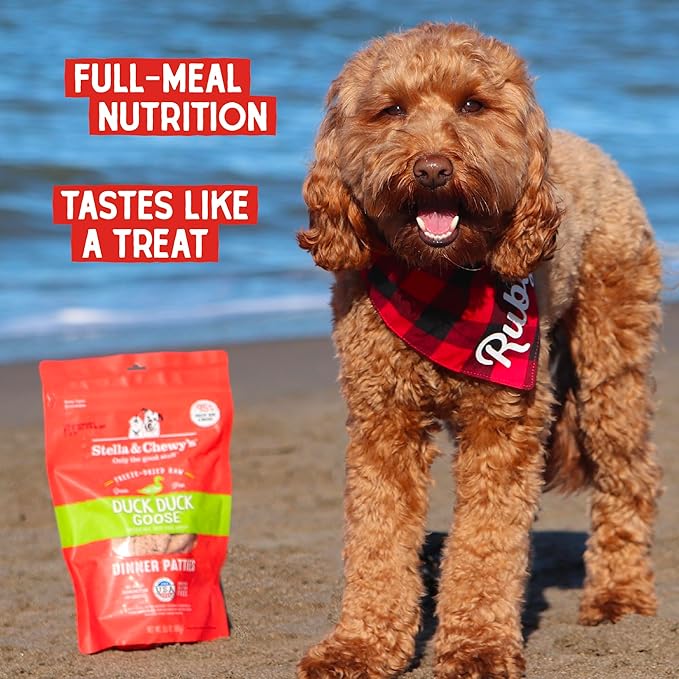 Stella & Chewy's Freeze Dried Raw Dinner Patties – Grain Free Dog Food, Protein Rich Duck Duck Goose Recipe – 5.5 oz Bag