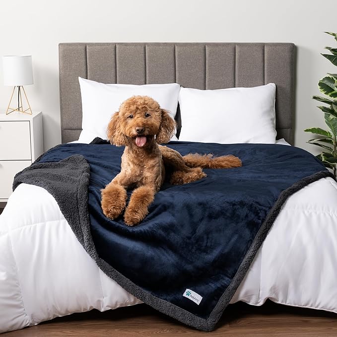 PetAmi Waterproof Dog Blanket for Medium Large Dog, Pet Puppy Blanket Couch Cover Protection, Sherpa Fleece Cat Blanket, Sofa Bed Furniture Protector Reversible Soft Plush Washable, 60x40 Navy Gray