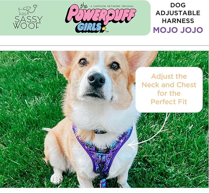 Dog Adjustable Harness - Mojo JoJo™ - XL, Breathable Mesh, No Pull Design with Two D-Rings, Perfect for Extra Large Dogs