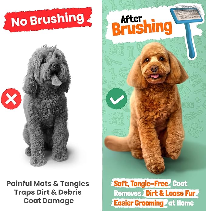 Slicker Brush for Dogs - Doodle Brush - Goldendoodles Labradoodles Bernedoodles - Goldendoodle Must Haves - Poodle Comb and Cases Included - Medium - Teal