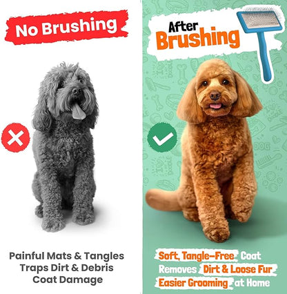 Slicker Brush for Dogs - Doodle Brush - Goldendoodles Labradoodles Bernedoodles - Goldendoodle Must Haves - Poodle Comb and Cases Included - Medium - Teal