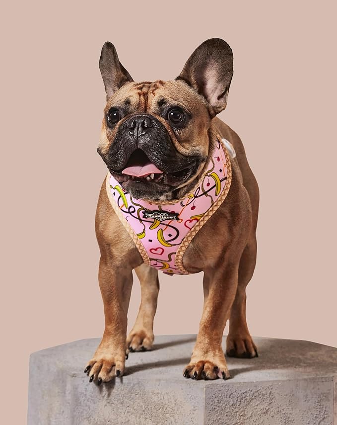 Ruffhaus NYC Pink Sprinkles Reversible Dog Harness, Ice Cream Waffle Cone, Banana Split Printed No Pull Harness Puppy Gift Girl Dog Birthday & Gotcha Day X-Large