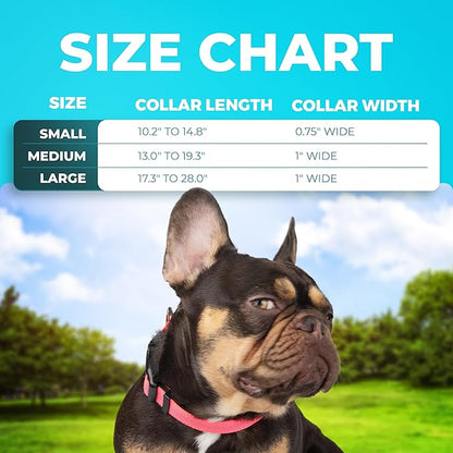 BLAZIN 'Color Me Happy!' Reflective Dog Collar for Day and Night - Adjustable Soft Neoprene Padded Dog Collar in 4 Vibrant Colors - Keeps Dogs Safe and Stylish - for Every Day Use (Large, Blue)